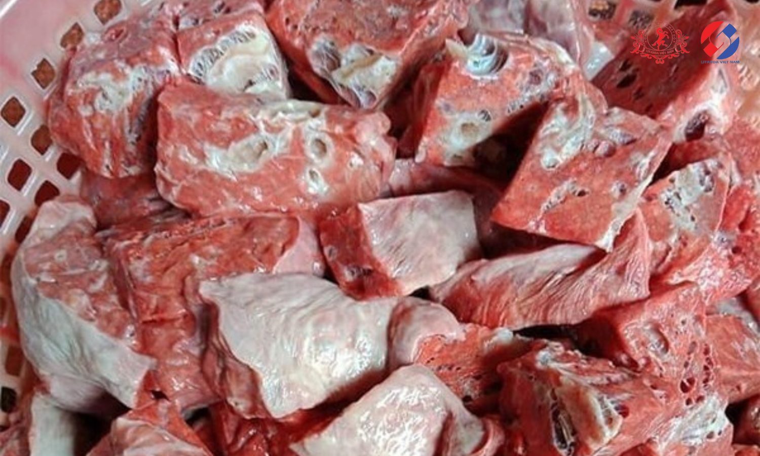 Sơ chế phổi ngựa bạch