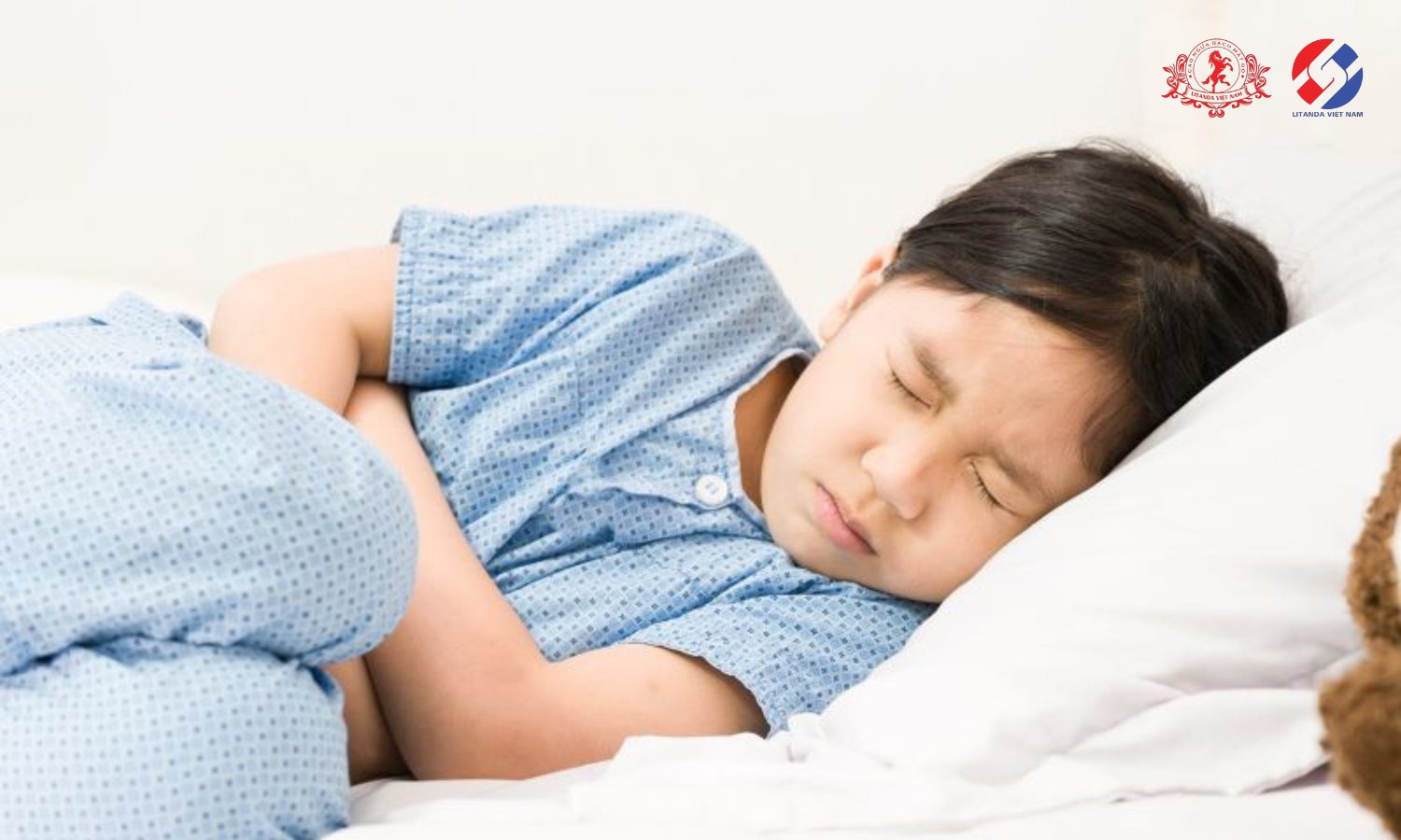 Phổi ngựa bạch ngâm mật ong giúp cải thiện hệ tiêu hoá của trẻ
