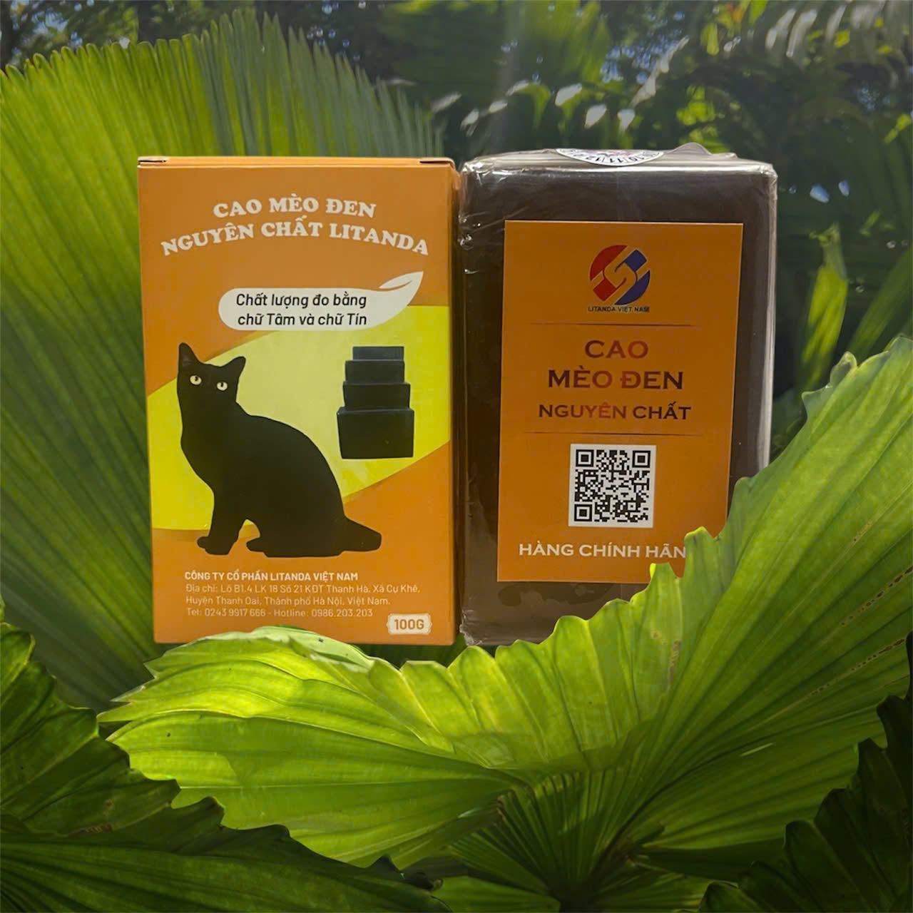 Cao Xương Mèo Đen Litanda Nguyên Chất